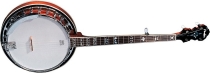 Fender FB-55 banjo
