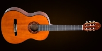 Klasická gitara Valencia CG180