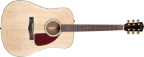 Fender CD-320A S